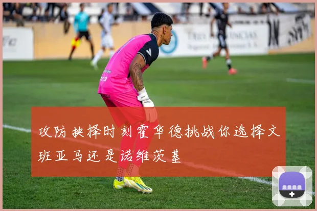 攻防抉择时刻霍华德挑战你选择文班亚马还是诺维茨基